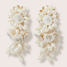 Load image into Gallery viewer, CrystalDust Guarame
