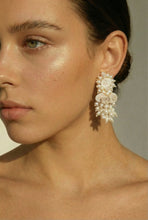 Load image into Gallery viewer, CrystalDust Guarame
