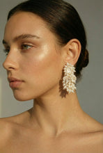 Load image into Gallery viewer, CrystalDust Guarame
