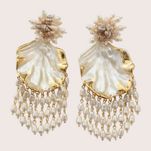 Load image into Gallery viewer, CrystalDust Majestic Shells
