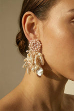 Load image into Gallery viewer, CrystalDust Nacar de Guacuco
