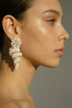 Load image into Gallery viewer, CrystalDust Guacuco Earrings
